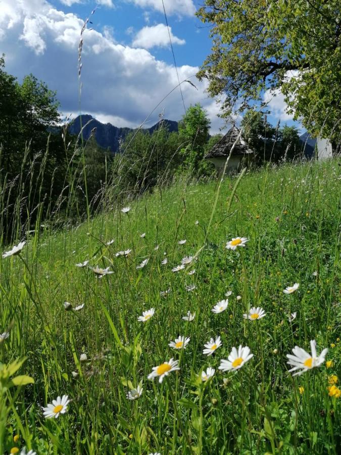 Pension Gut Trogern Bad Eisenkappel Eksteriør billede